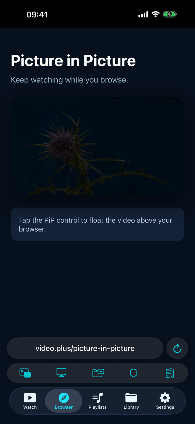 Continue in Picture in Picture