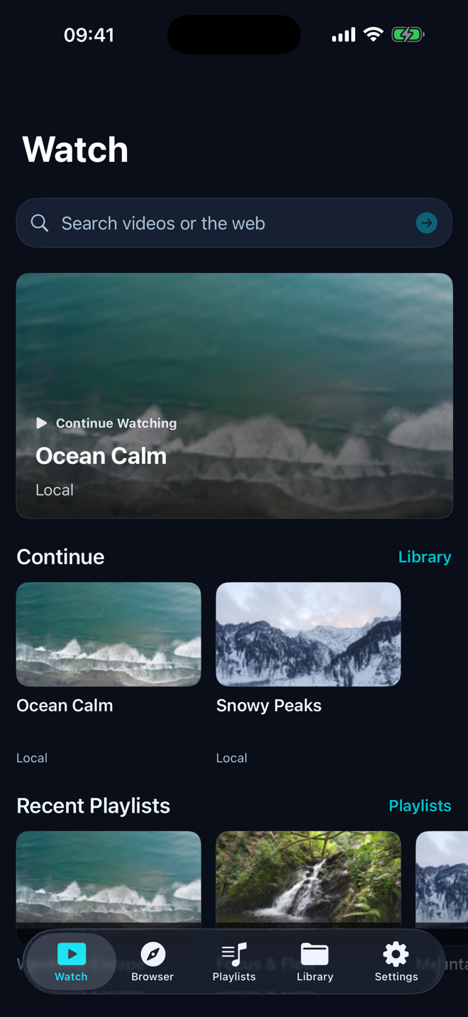 Organize a local media library